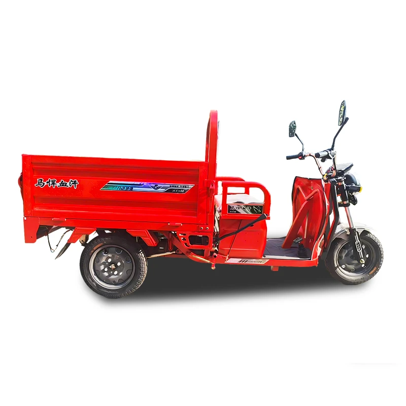 Long-Range Electric Cargo Tricycle price